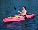 Sun Dolphin Bali 10' Sit-On Kayak in Pink