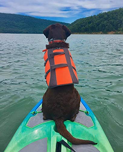 Perception Hi Life Kayak for Recreational Adventures