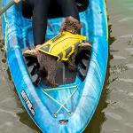 Pelican Sentinel 100X Sit-on-Top Kayak - 9.5 Feet