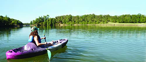 Perception Access 9.5 Sit-on-Top Kayak with Rod Holders