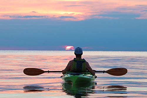EVOKE Navato 120 Citron Sit-In Recreational Kayak