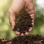 Jobe's Organics Fast Acting Fertilizer Compost Starter, 4 lbs