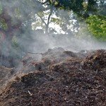 Jobe's Organics Fast Acting Fertilizer Compost Starter, 4 lbs