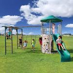 Lifetime 91199 Adventure Tower Deluxe Swing Set Playset
