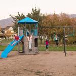 Lifetime Adventure Tower Swing Set Playset