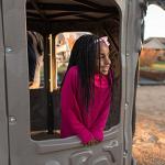 Lifetime Adventure Tower Swing Set Playset