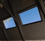 Outdoor Storage Shed with Windows, 11x11 Feet by Lifetime