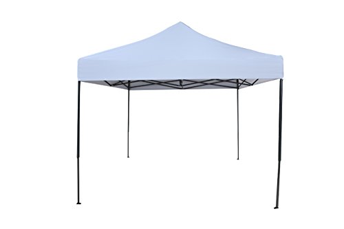 Portable 10 x 10-Feet Event Canopy Tent by Trademark Innovations