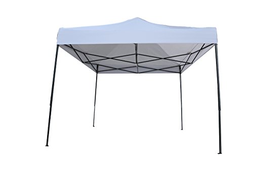 Portable 10 x 10-Feet Event Canopy Tent by Trademark Innovations