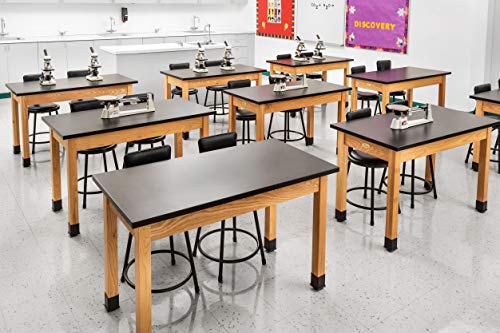 NPS Science Table, 24" x 48", Black/Ashwood Legs
