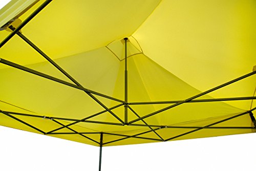 Portable Event Canopy Tent by Trademark Innovations