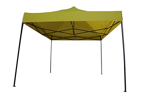 Portable Event Canopy Tent by Trademark Innovations