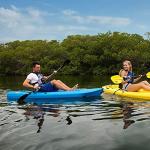 Lotus Sit-On-Top Kayak Bundle with 2 Paddles