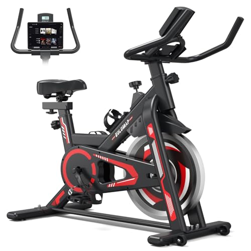 Indoor Cycling Bike for Home Gym, RedBlack