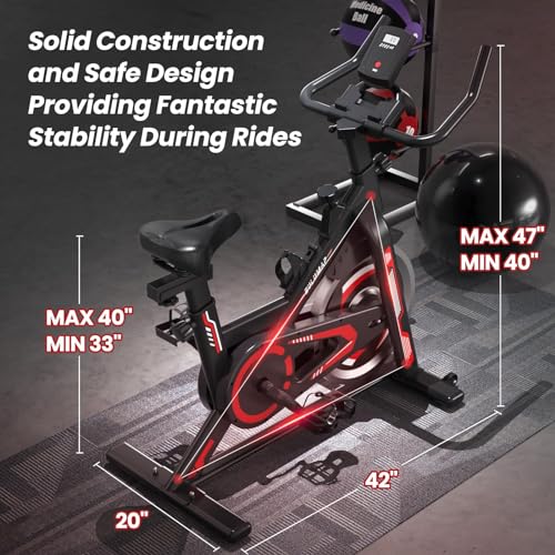 Indoor Cycling Bike for Home Gym, RedBlack