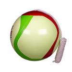 Multicolor Glow in The Dark Outdoor Tetherball by Mikasa