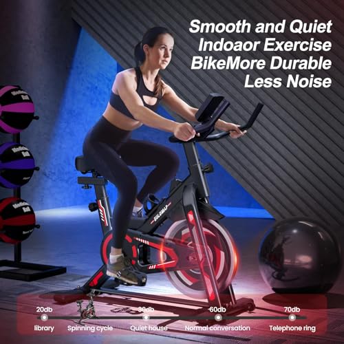 Indoor Cycling Bike for Home Gym, RedBlack