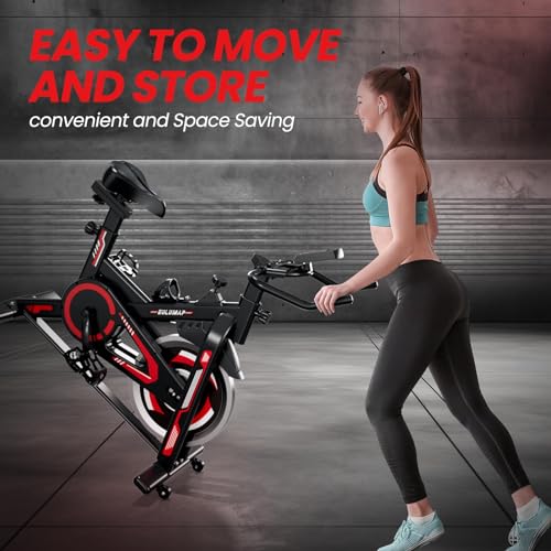 Indoor Cycling Bike for Home Gym, RedBlack