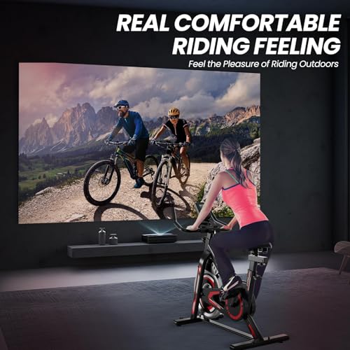 Indoor Cycling Bike for Home Gym, RedBlack