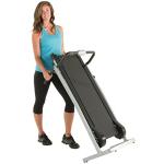 ProGear190 Treadmill with 2 Level Incline & Flywheels
