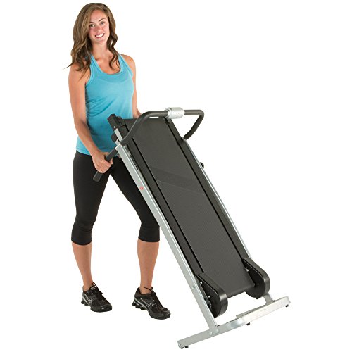 ProGear190 Treadmill with 2 Level Incline & Flywheels