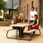 8' Folding Picnic Table with Benches by Lifetime