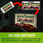 Montgomery Kids Bed - Twin, White, Lightweight Design