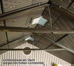 Outdoor Storage Shed with Window, Skylights, Shelving - 8x10