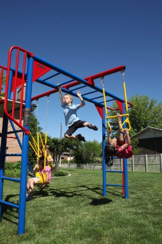 Colorful Lifetime Monkey Bar Adventure Swing Set