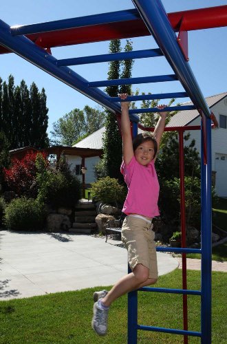 Colorful Lifetime Monkey Bar Adventure Swing Set