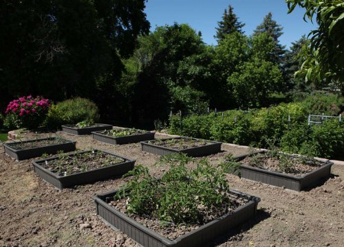 Lifetime 60065 4x4 Feet Raised Garden Bed, 1 Bed
