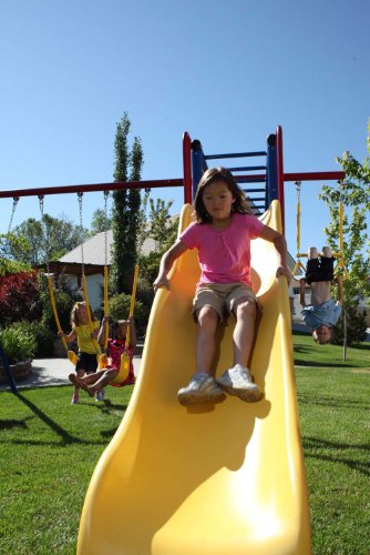 Colorful Lifetime Monkey Bar Adventure Swing Set