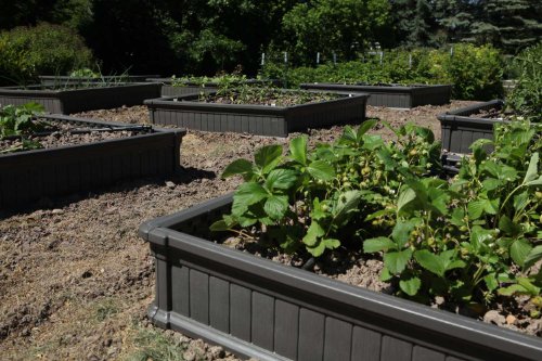 Lifetime 60065 4x4 Feet Raised Garden Bed, 1 Bed