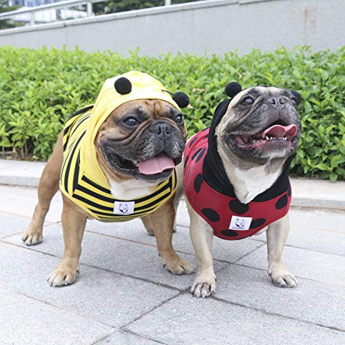 Ladybug Hoodie Costume for Medium Dogs - Red & Black