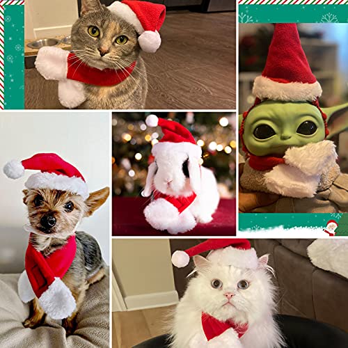 Cat and Dog Santa Hat with Muffler