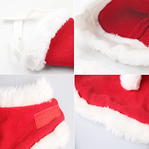 Christmas Cat Costume with Cloak and Bells