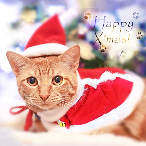 Christmas Cat Costume with Cloak and Bells