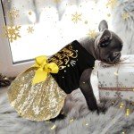 Happy New Year Dog Costume with Bow