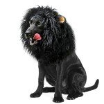 Lion Mane Wig for Dogs with Ears