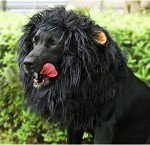Lion Mane Wig for Dogs with Ears