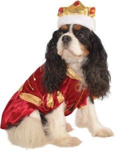 Red King Pet Costume - Large Size