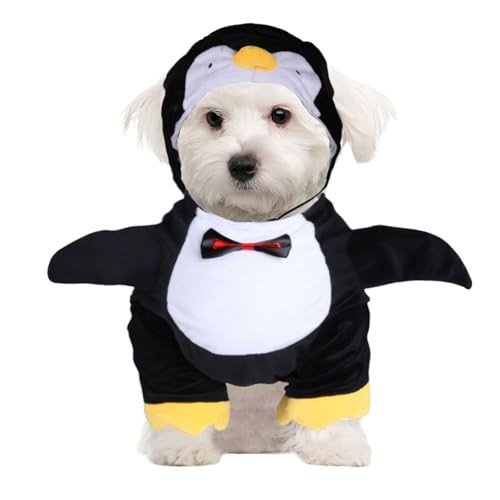 Animal-Themed Costumes