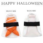 Funny Sushi Dog Costume for Halloween Fun