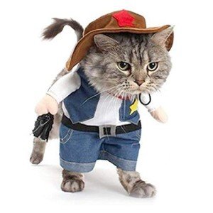 Cowboy Dog Costume with Hat for Halloween