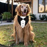 Formal Dog Tuxedo Suit with Bow Tie