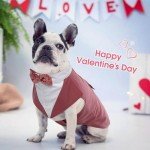 Dog Tuxedo Suit and Bandana Set for Weddings