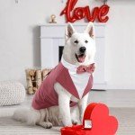 Dog Tuxedo Suit and Bandana Set for Weddings