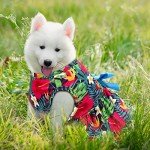 Hawaii Summer Dog Dresses with Fun Patterns