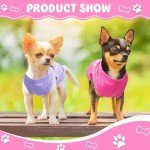 Pink Summer Outfit Set for Small Dogs