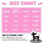 Pink Summer Outfit Set for Small Dogs